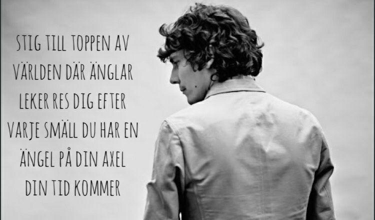 MagdalenaFalk's profile banner image