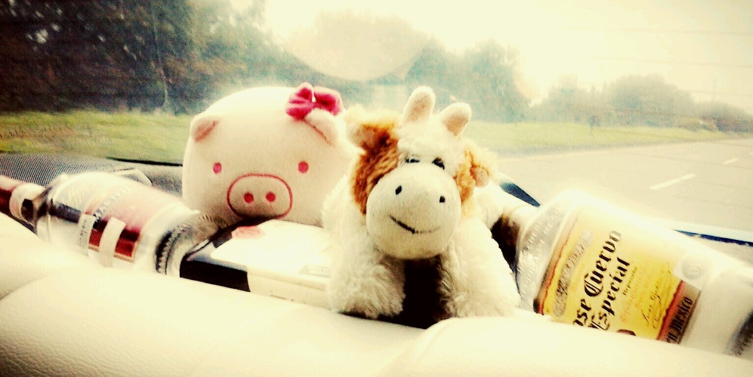 icha_allysa's profile banner image
