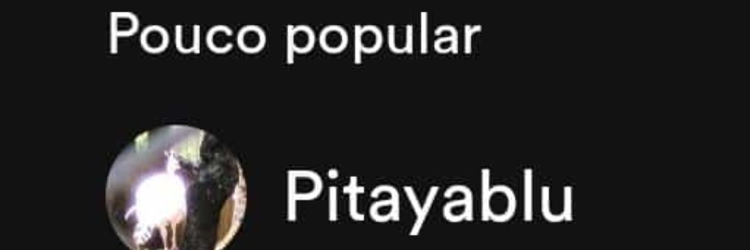 blu' 🇨🇳 banner