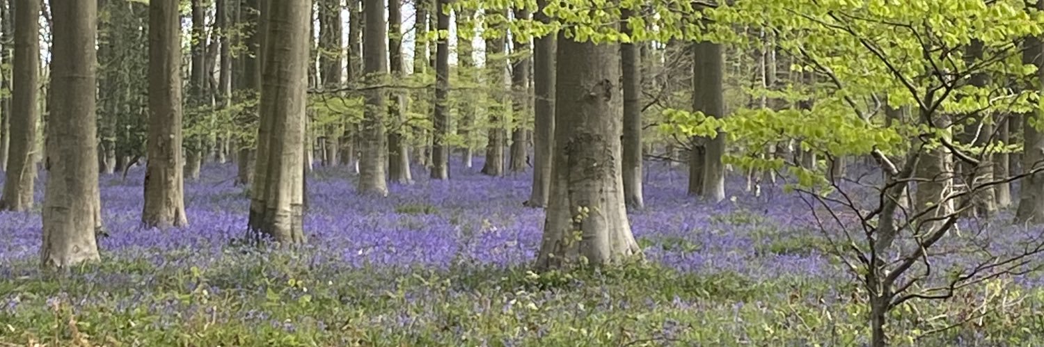 Jennifer Fernandes banner