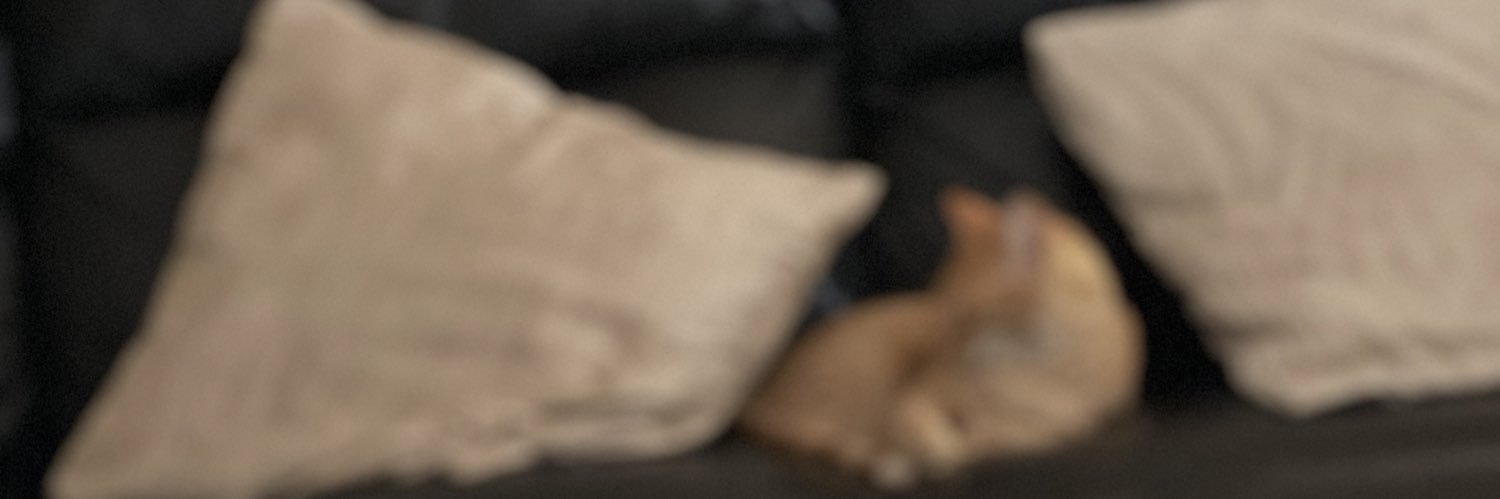 _LUPEMBA's profile banner image