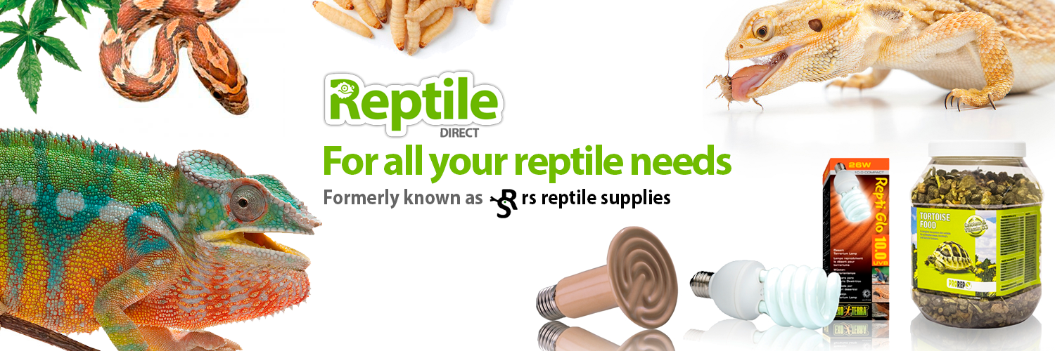 ReptileDirectUK's profile banner image