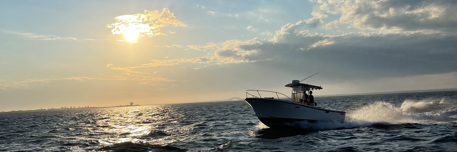 BornAgainConservative✝️🇺🇸✝️ banner