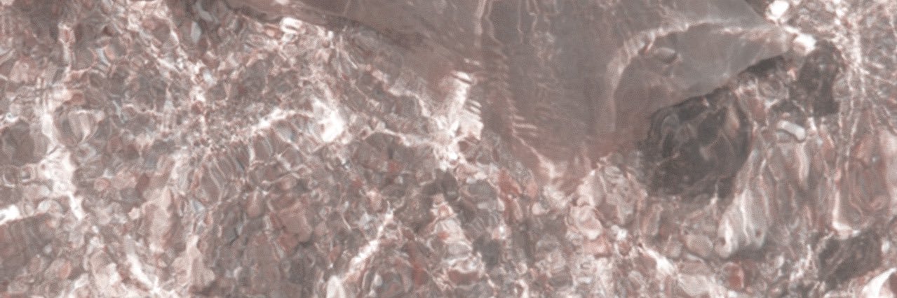 catosaurusmgc's profile banner image