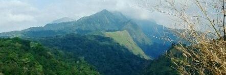 AliyahRisma's profile banner image