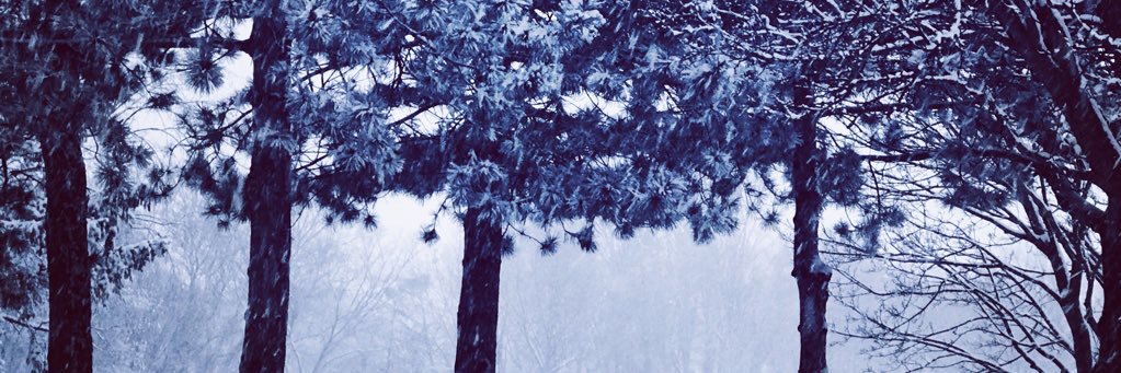 soniB019's profile banner image