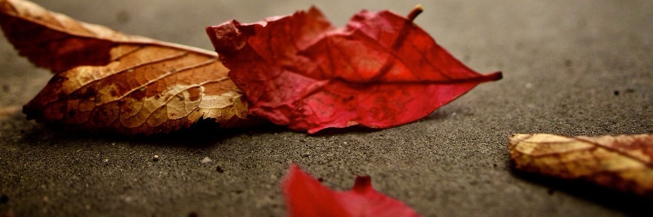 saejongdaewang's profile banner image