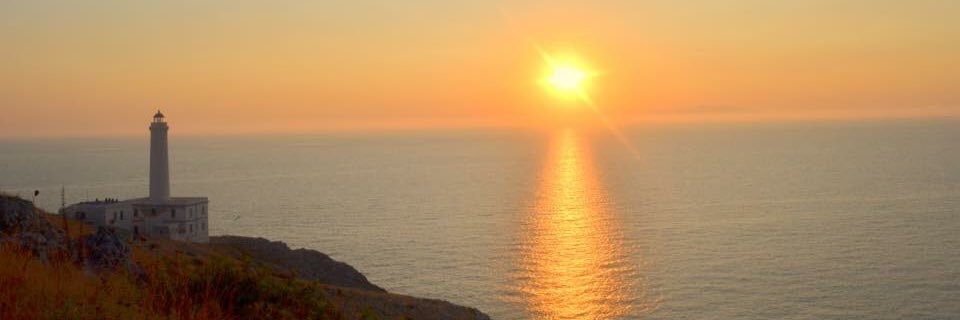 Lucio Lussi banner