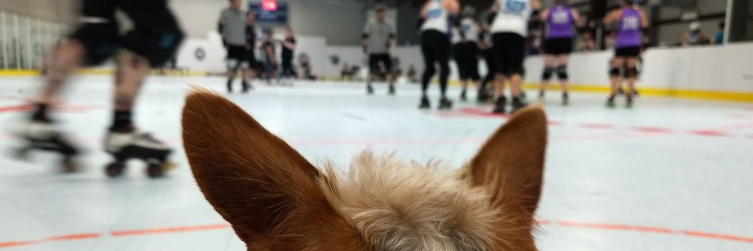 ace_octopus's profile banner image
