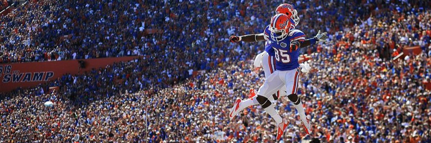 Depressed Gator Fan banner