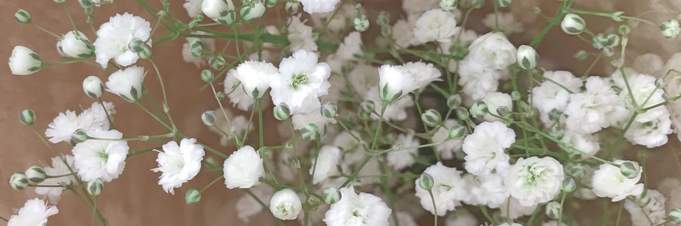 pompompupupu11's profile banner image