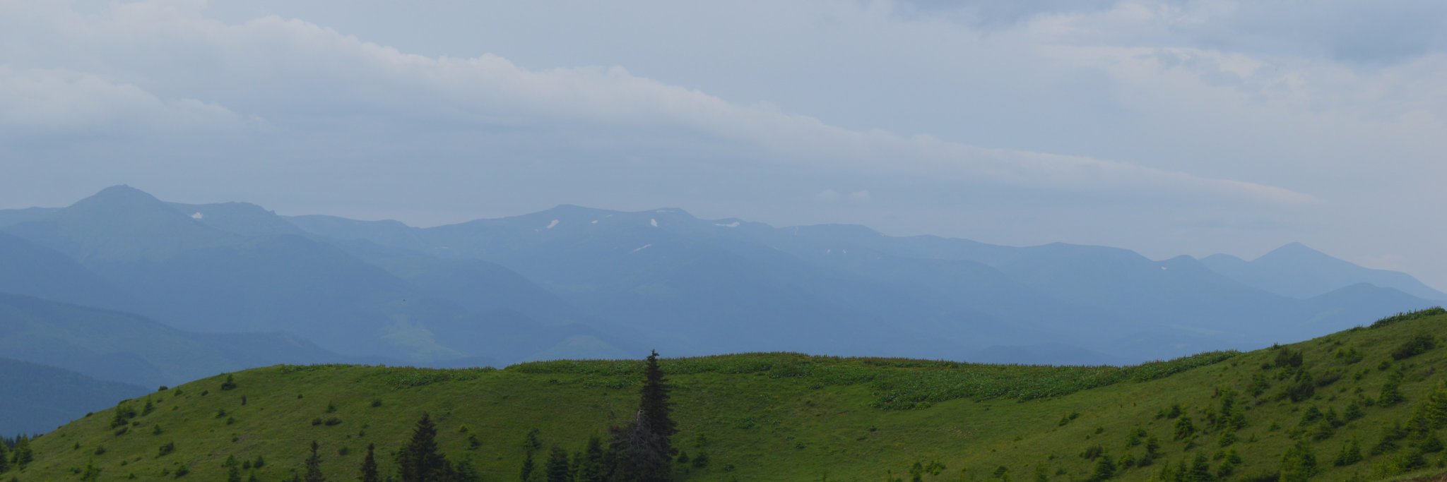 Dmytro Voitekh banner