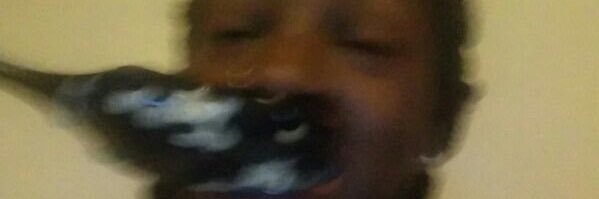 TazzTayy's profile banner image