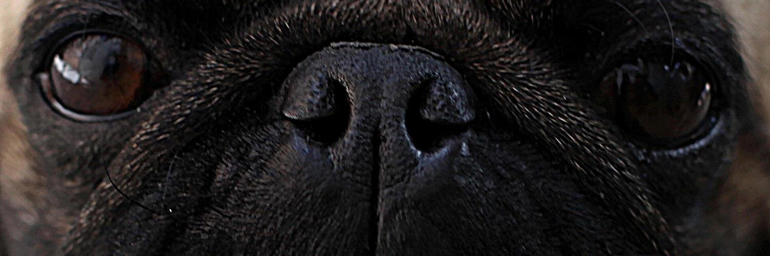 Er_ick19's profile banner image