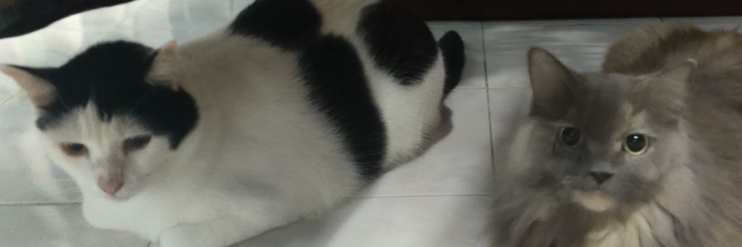 aduduii's profile banner image