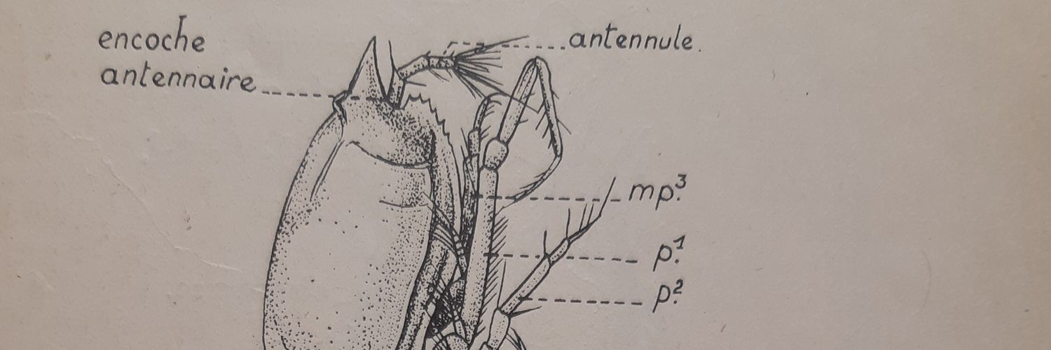 amauryG's profile banner image