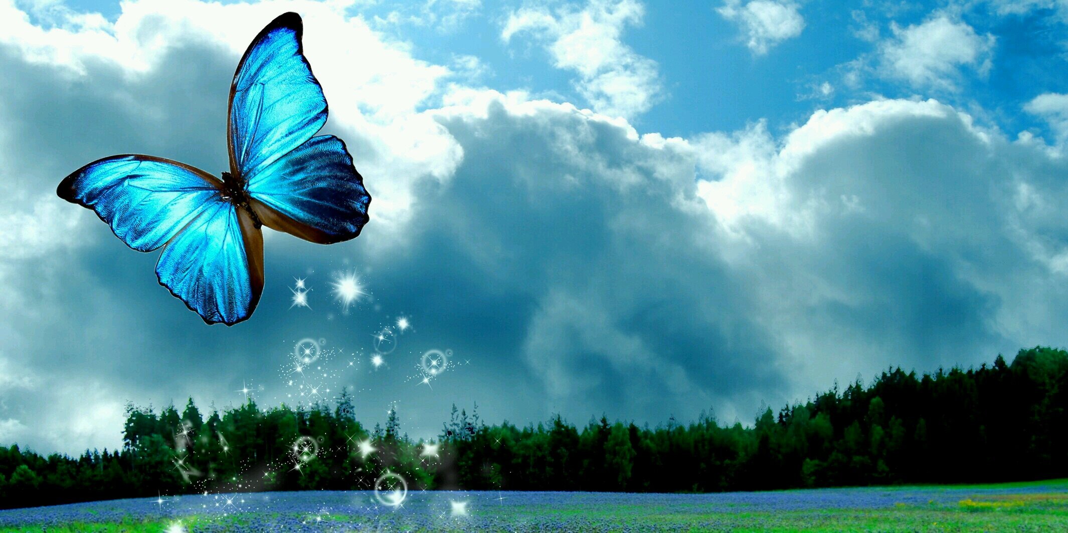 abohrb's profile banner image