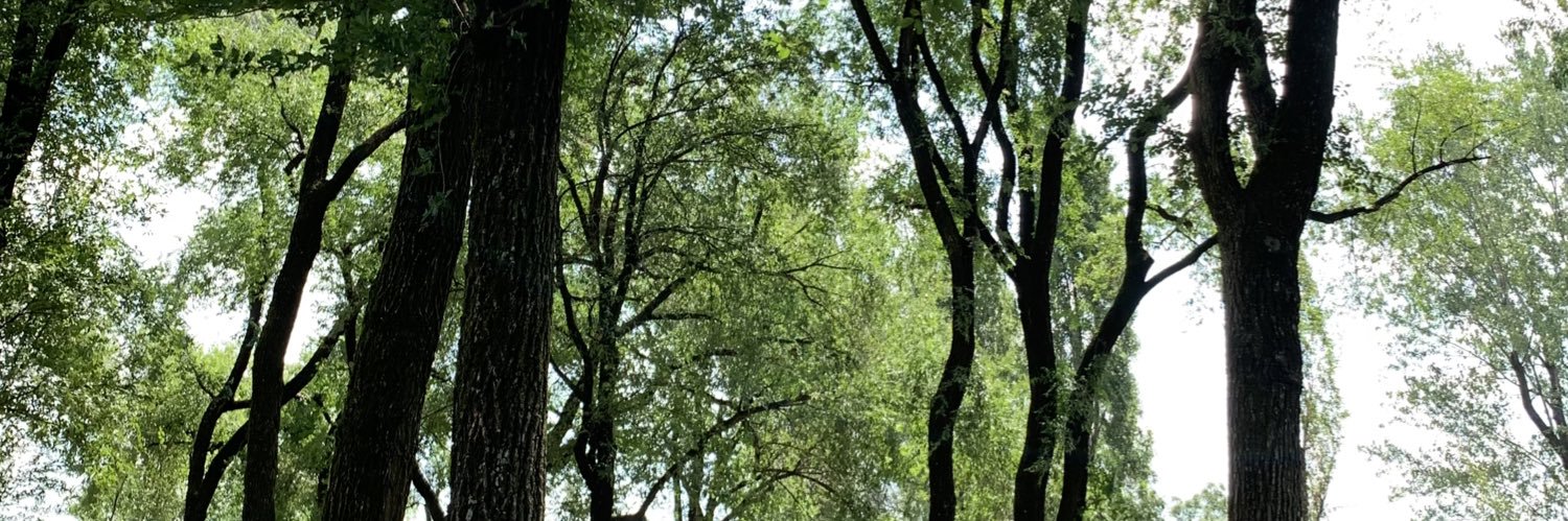 Vafrap 🇪🇺 banner