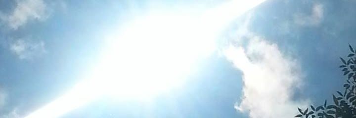 I'M A BELIEVER banner