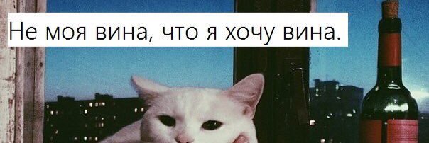 Katurusha's profile banner image