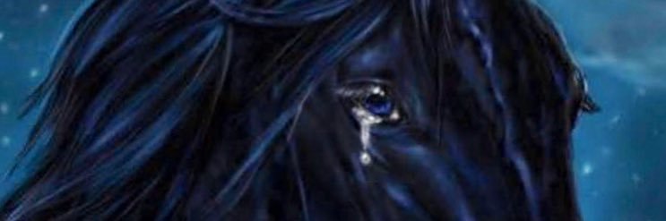 OGhorba's profile banner image