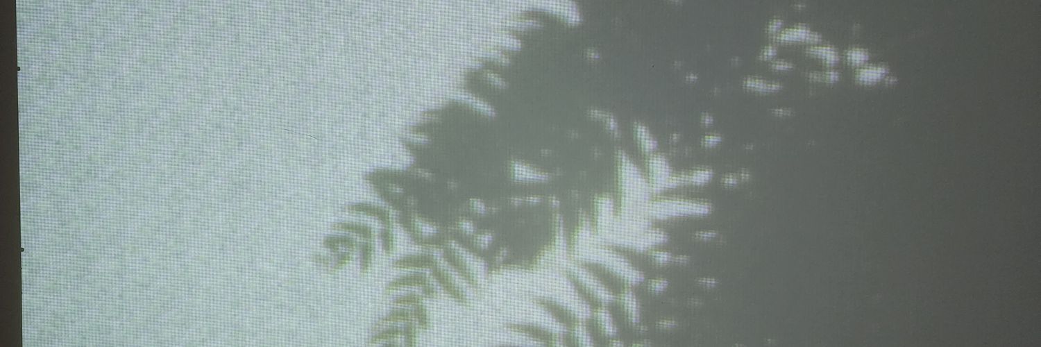 _M_phantom's profile banner image