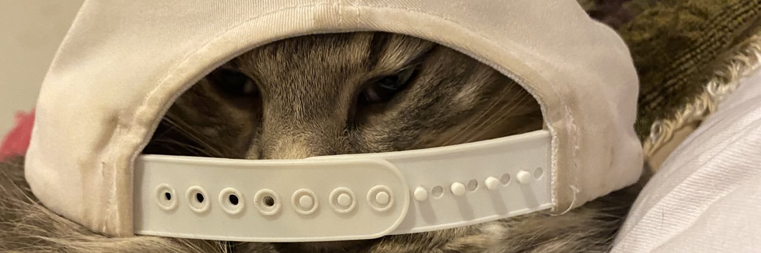 willow banner