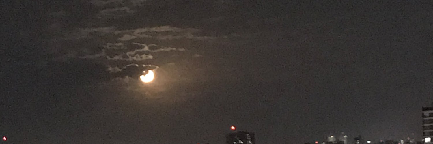 florcabrera01's profile banner image