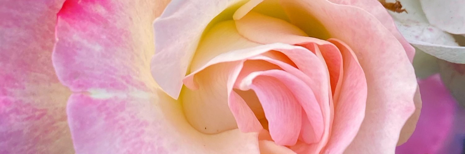 Suzan_Rii's profile banner image