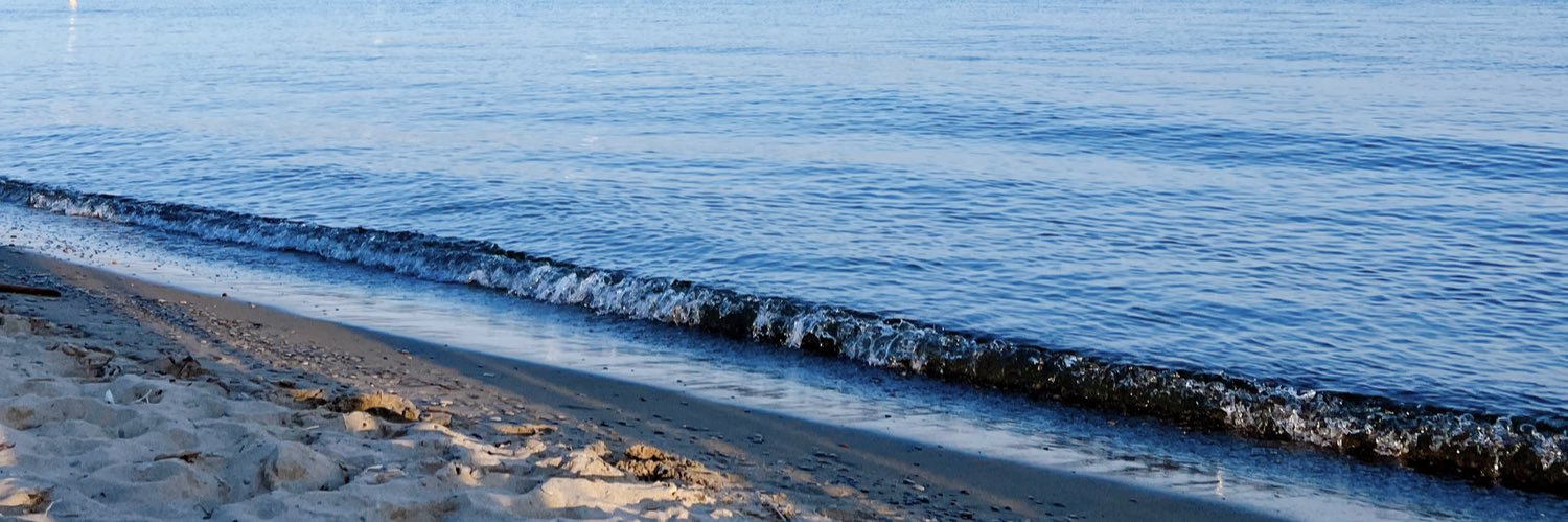 Patcharaporn (Nok) Srisaikaew, PhD banner