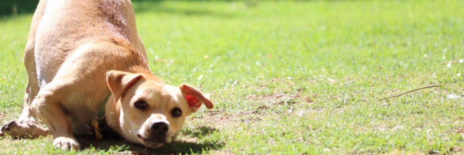 bootsmaree's profile banner image