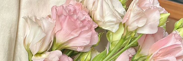 ZN005W's profile banner image