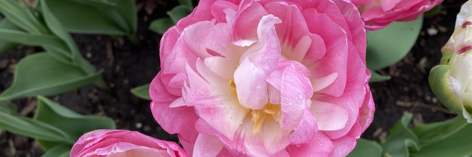 DownHomePottery's profile banner image