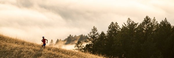 dylanbo Profile Banner