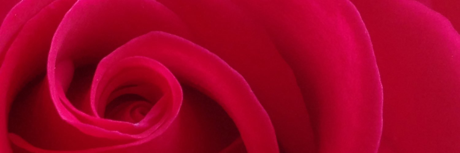 SnippetyGray's profile banner image