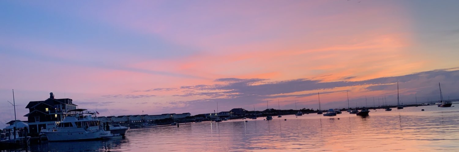 AlisonAntonelli's profile banner image