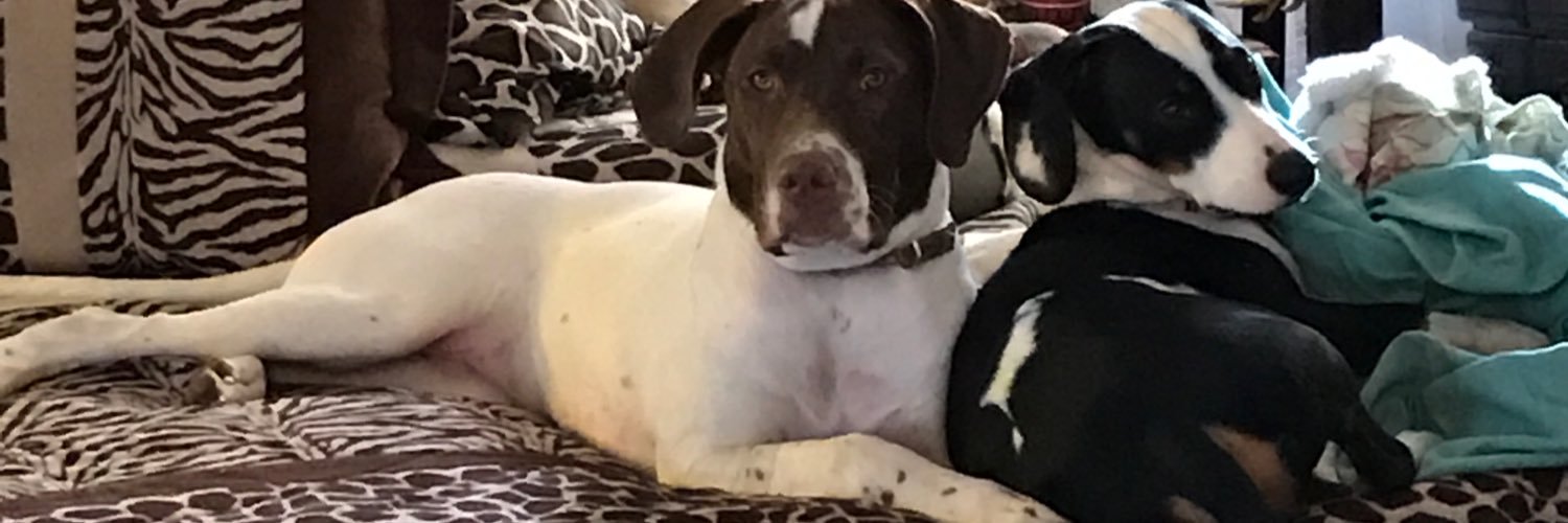 Lambdoop's profile banner image