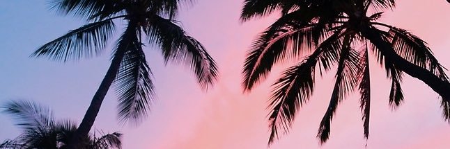 idafalone's profile banner image