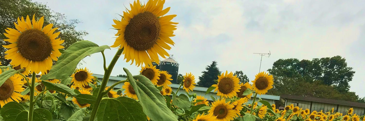 munyu3321's profile banner image