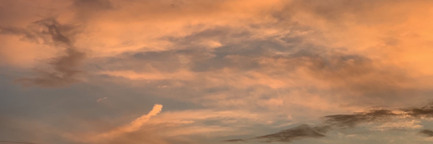 lizziecavanaug's profile banner image