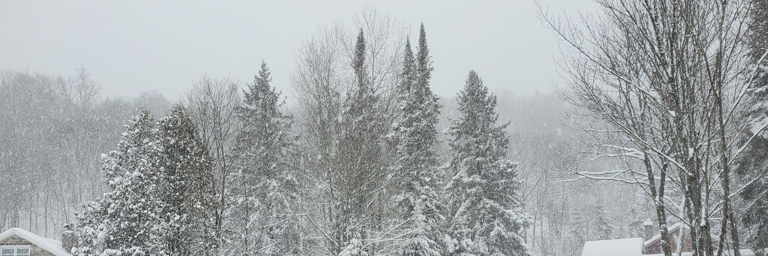 onlyJVhsg's profile banner image