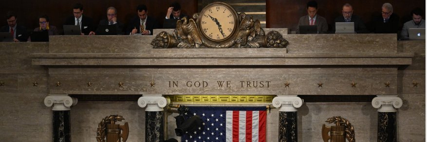 Camille Camdessus banner