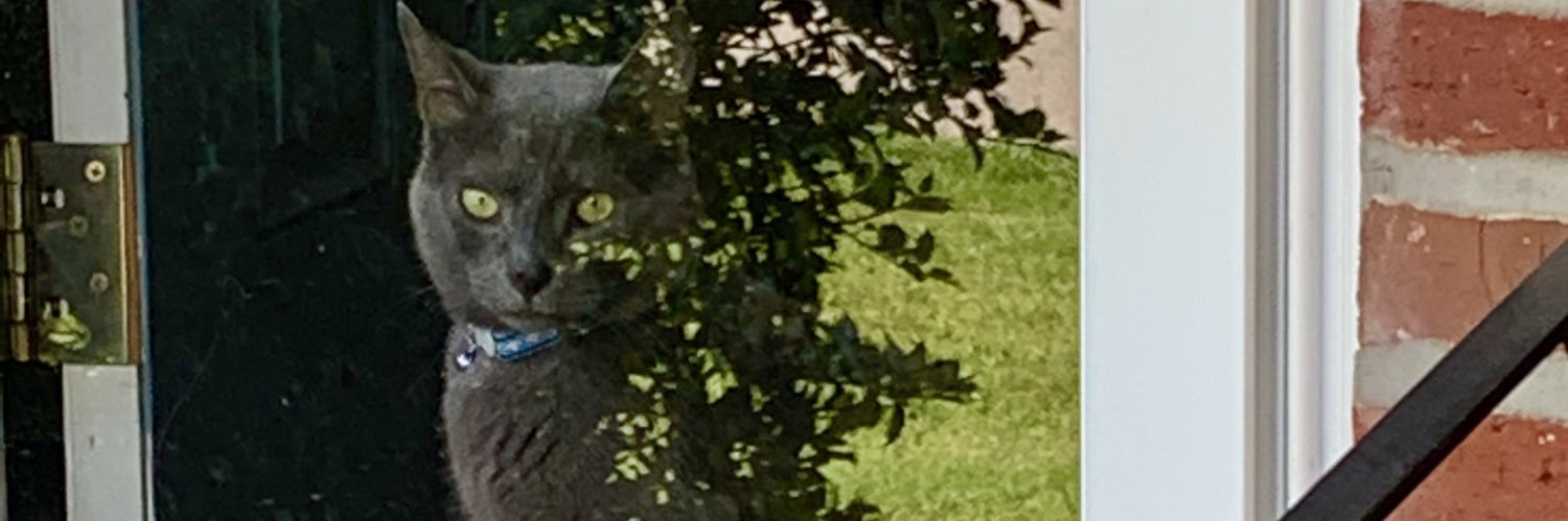 tyeson101's profile banner image