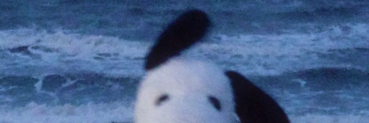 Bellimou's profile banner image