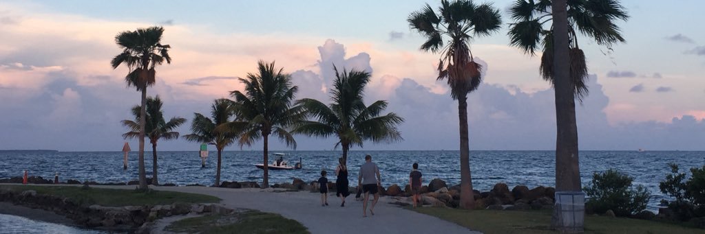 olgabelli's profile banner image