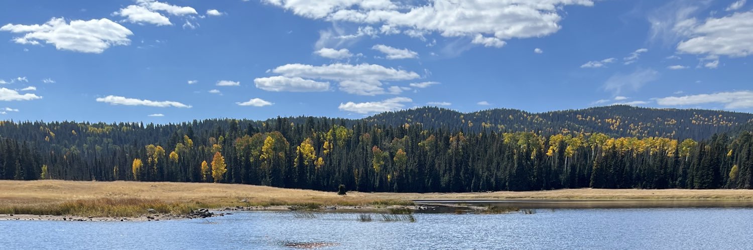 Eric 🇺🇸🌵🌲 banner