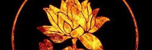 jasvsan's profile banner image