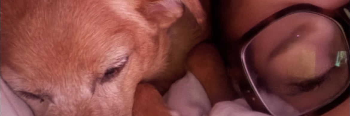 Justcanxla's profile banner image