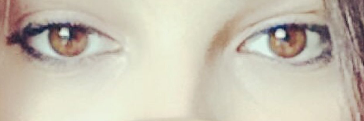 laurenlarrys23's profile banner image