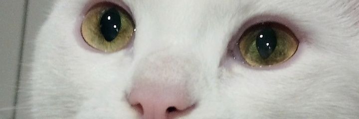 lorenaramosgarc's profile banner image